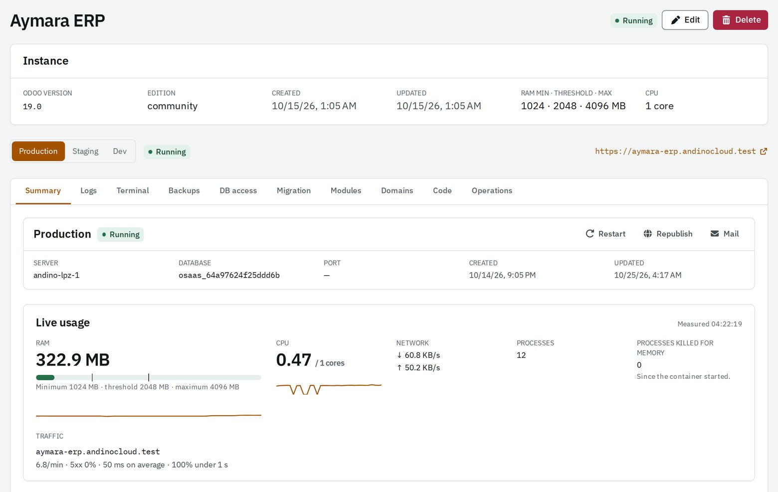 An instance's production environment in the Ramphast panel, with live usage