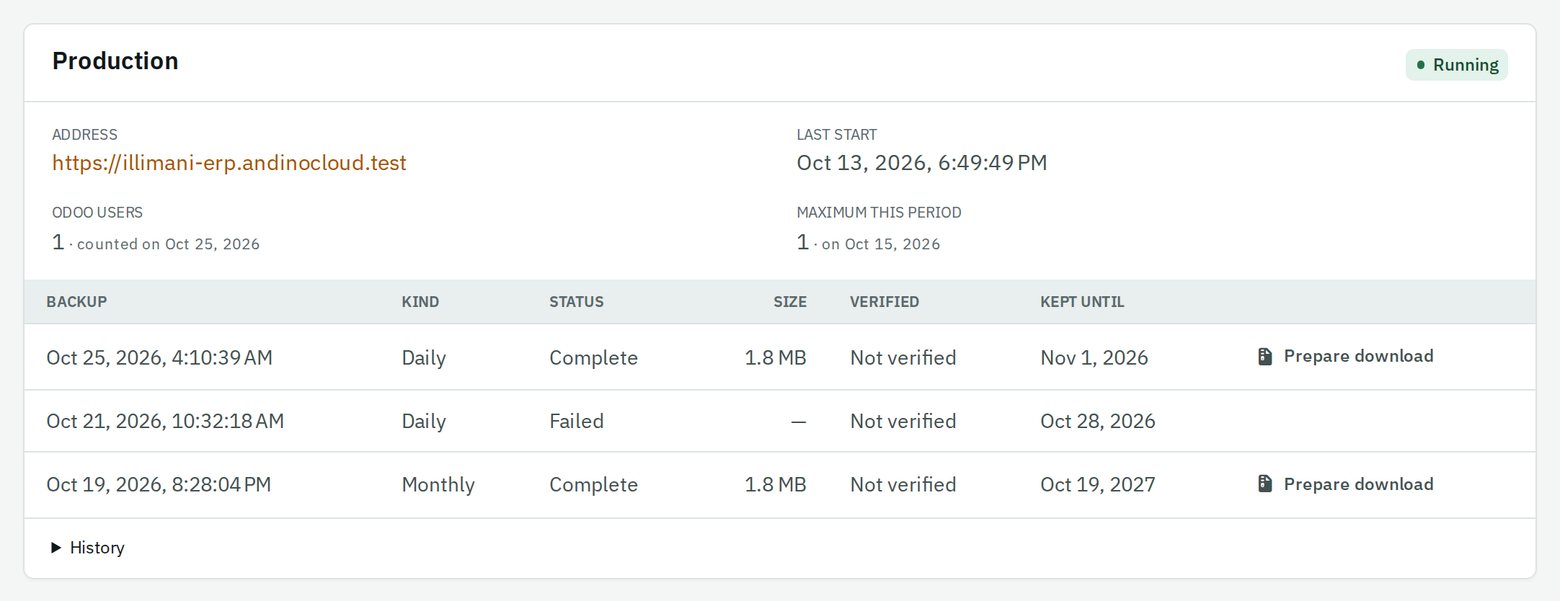 An instance's production environment as the client sees it